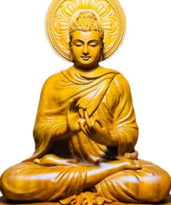 anh danh muc tuong thich ca