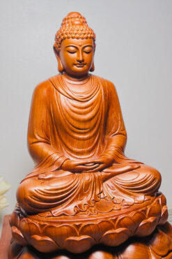 tượng phật thích ca gỗ hương - góc chụp trái