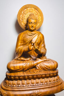 Tượng Bổn Sư Thích Ca chuyển pháp - góc nghiêng trái