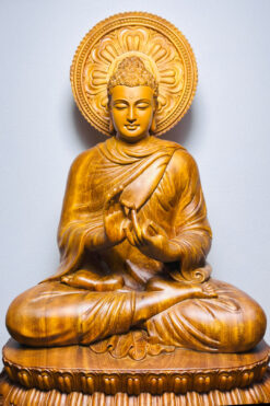 Tượng Bổn Sư Thích Ca chuyển pháp - cận mặt